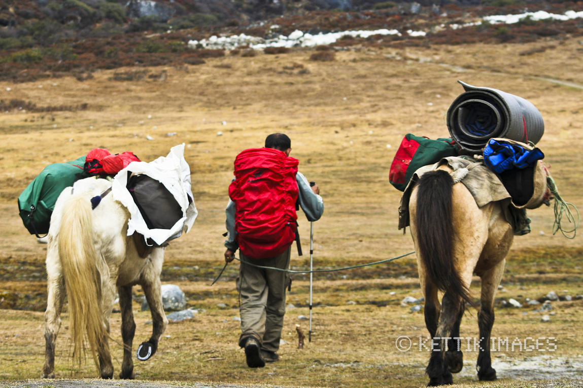 Trekkers guide to the Yuksom - Dzongri - Gochela trek