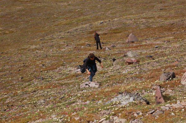 Once In a Blue Moose Alaskan Adventure